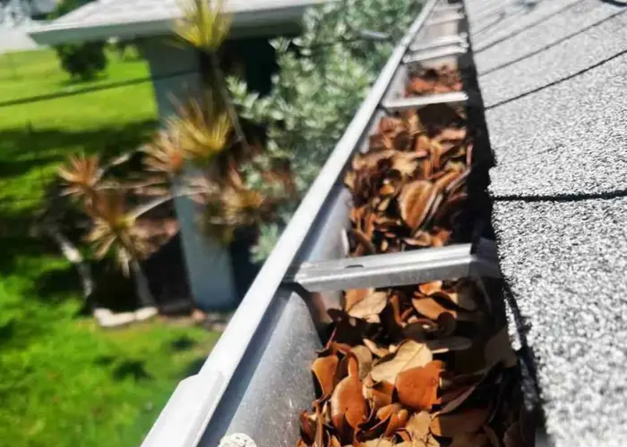 New Hope gutter cleaning home page